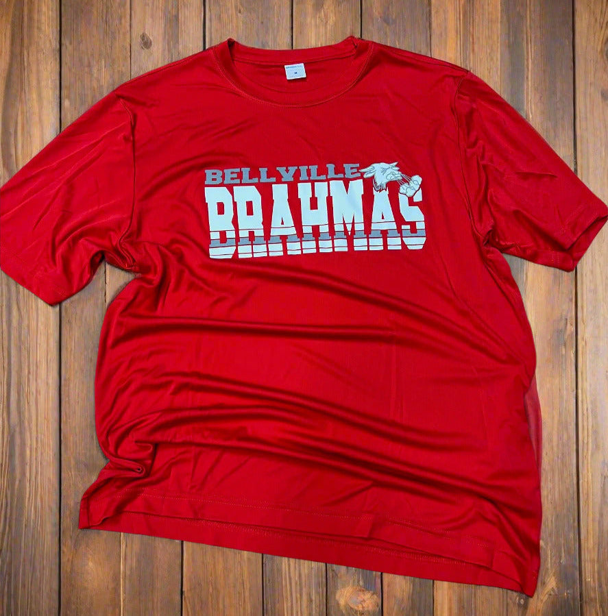 Brahmas Bull